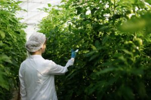 biotechnology-woman-engineer-examining-plant-leaf-2021-08-30-23-10-33-utc